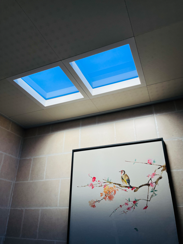 skylights for art galleries